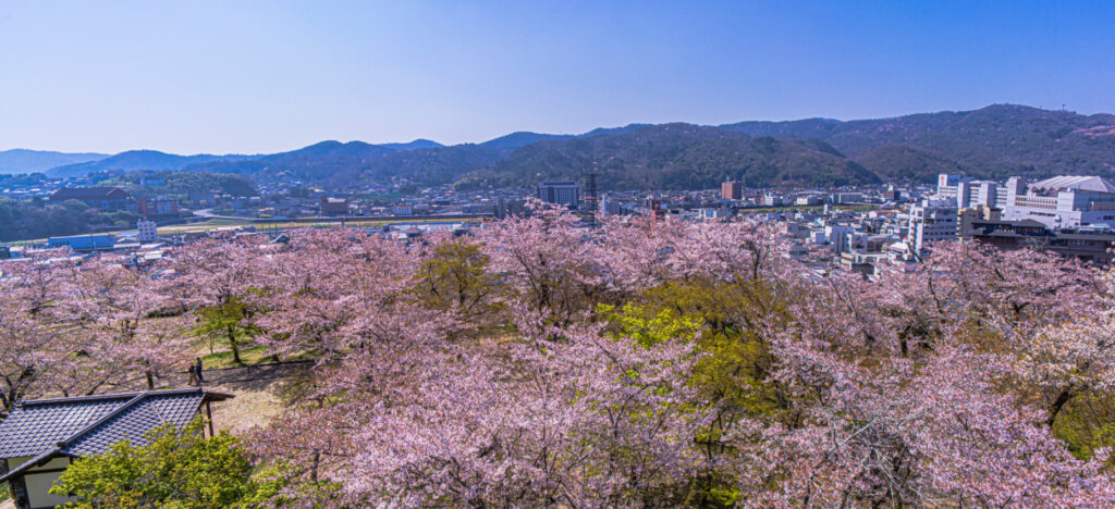 津山市への移住で理想の暮らしを実現しよう！