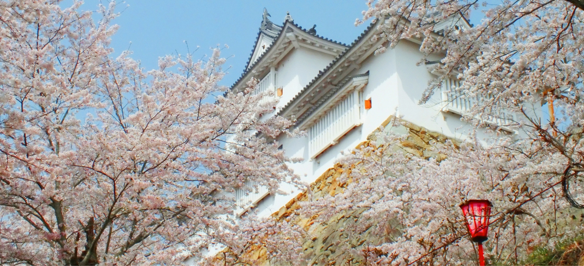 津山市への移住で理想の暮らしを実現しよう!